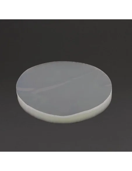 Disques à steaks 100mm (lot de 5000)