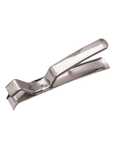 PINCE A PLAQUE A ROTIR INOX  L (en mm) : 190