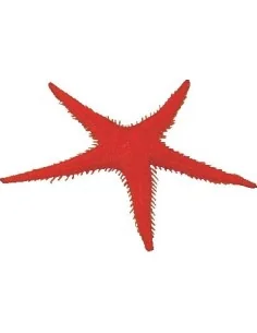 BOITE DE 2 PCS ETOILE DE MER FACTICE