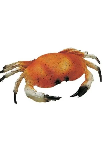 CRABE FACTICE PETIT MODELE