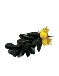 GRAPPES DE MOULES AVEC CITRON