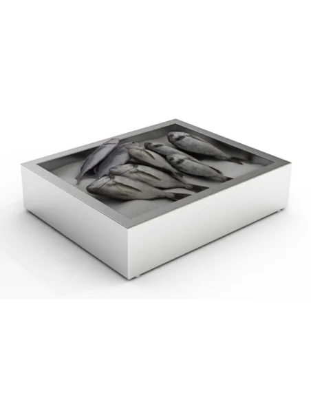 BAC À GLACE PILÉE EN CONSTRUCTION 2/1 GN