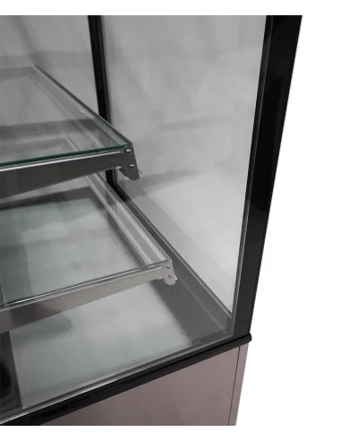 VITRINE RÉFRIGÉRÉE 270L