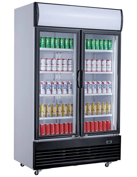 RÉFRIGÉRATEUR 2 PORTES EN VERRE 800L