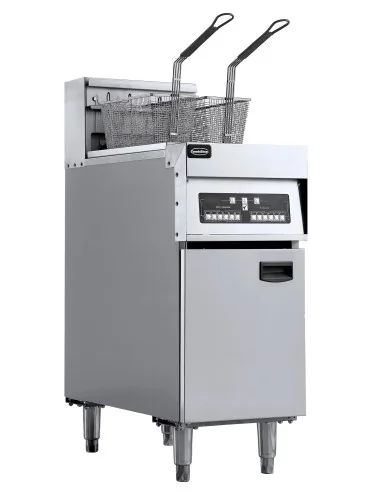 FRITEUSE ÉLECTRIQUES 1X 25L