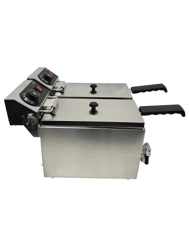 FRITEUSE POSABLE ÉLECTRIQUE 2X4 L