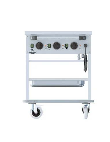 BAIN-MARIE TROLLEY 3/1.