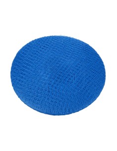 Filets à cheveux Lion Haircare bleus - lot de 50 2
