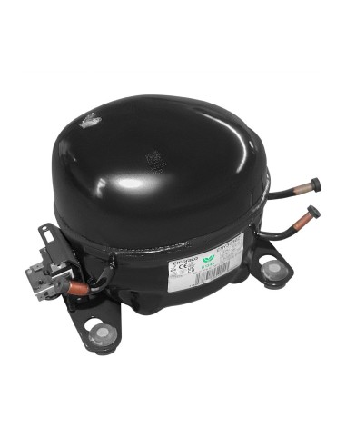 Compresseur Polar - Accessoire robuste pour CHR