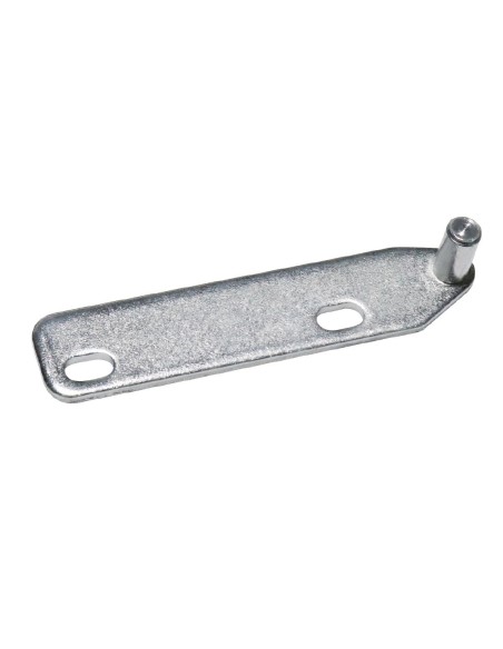 Charnière de porte Polar - Accessoire acier 18x86 mm