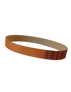 Courroie Buffalo pour CD279 - Accessoire 20g