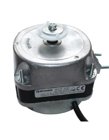 Moteur de ventilateur Polar pour évaporateur - Accessoire