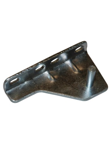 Charnière de porte inférieure droite Polar - Accessoire