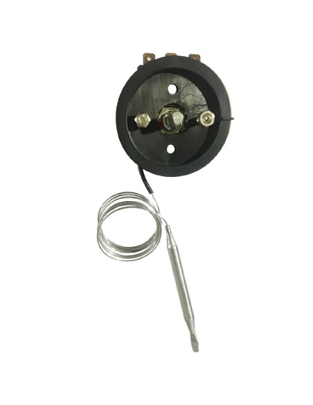 Thermostat Buffalo de remplacement GF539 CN219
