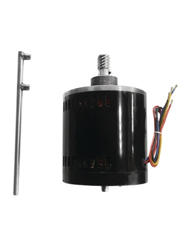 Moteur Buffalo avec roue à vis sans fin - Accessoire GJ461