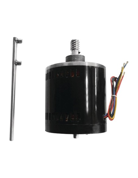 Moteur Buffalo avec roue à vis sans fin - Accessoire GJ461