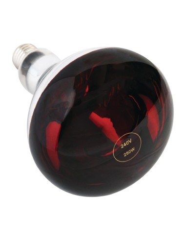Ampoule chauffante rouge 250W E27 - Sans Marque