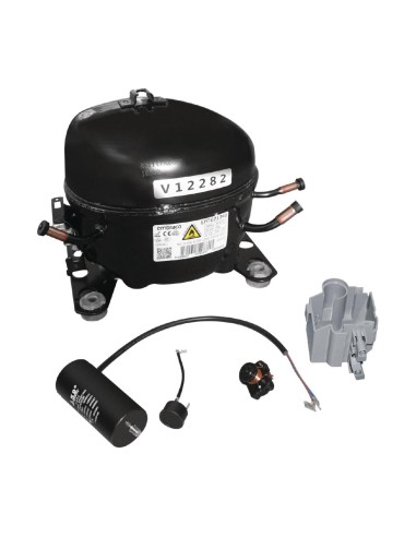 Compresseur Polar R290-EMTE2134U - Accessoire 220V