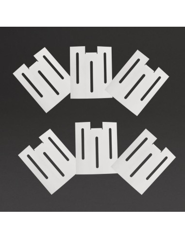Plaques adhésives de remplacement Eazyzap CT870 - lot de 6