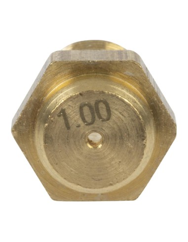 Injecteur de brûleur Buffalo (GPL) compatible CT253 - Accessoire