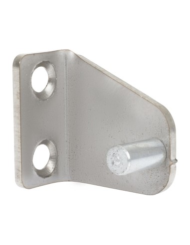 Charnière supérieure gauche Buffalo compatible CT253