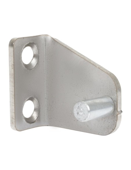 Charnière supérieure gauche Buffalo compatible CT253