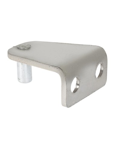 Charnière supérieure gauche Buffalo compatible CT253