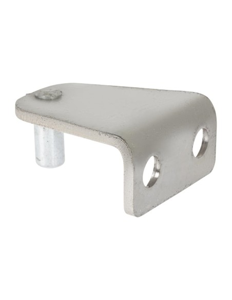 Charnière supérieure gauche Buffalo compatible CT253