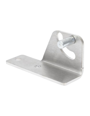 Charnière inférieure gauche de porte Buffalo - Accessoire CHR