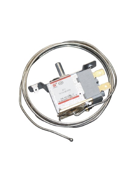 Thermostat Polar compatible CS586 - Accessoire zinc