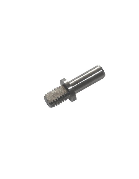 Axe de charnière de porte Polar - Accessoire inox