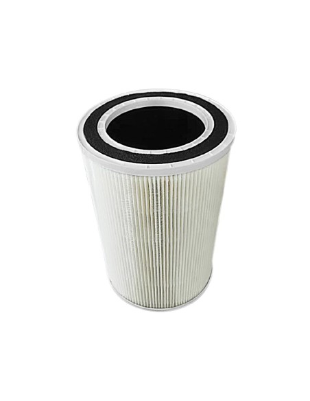Filtre HEPA Polar compatible DF655 - Accessoire
