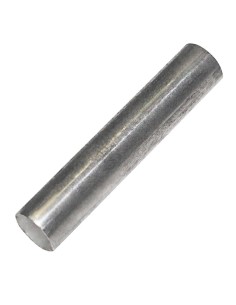 Goupille d'axe de porte inférieure Polar - Accessoire inox
