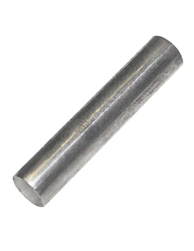 Goupille d'axe de porte inférieure Polar - Accessoire inox