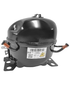 Compresseur Polar R290-FTA55L pour GE769 - Accessoire robuste
