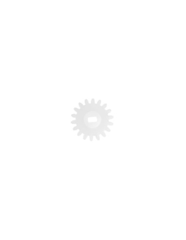 Engrenage de conduite Polar pour GE959 - Accessoire 10x25mm