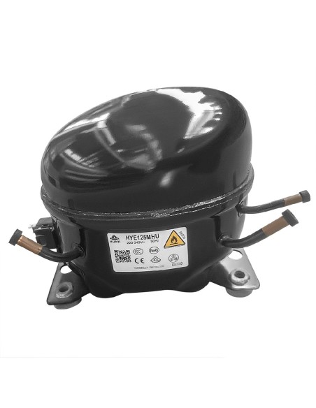 Compresseur Polar R600a-NT1117Y - Accessoire 220V