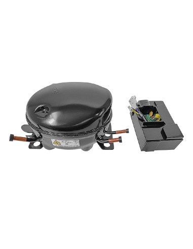 Compresseur Polar R600a-DZ120V1C - Accessoire inox 230V