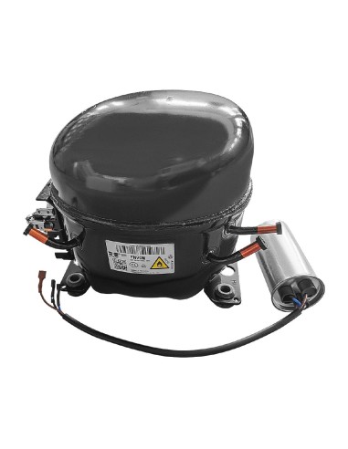 Compresseur Polar R290-FN90M - Accessoire 220V