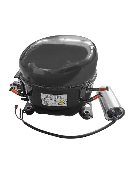 Compresseur Polar R290-FN90M - Accessoire 220V