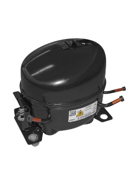 Compresseur Polar R600a-PZ45H1X - Accessoire inox