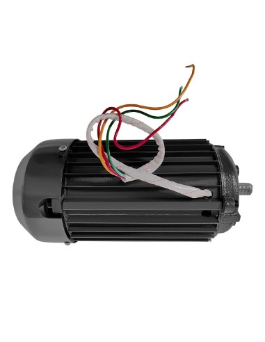 Moteur de batteur Polar - Accessoire 220V noir