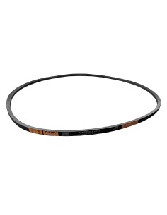 Courroie Polar - Accessoire compatible UA088