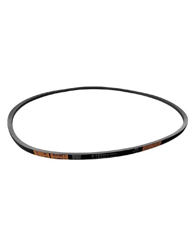 Courroie Polar - Accessoire compatible UA088