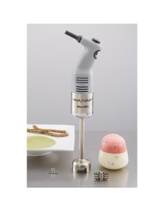 Mixeur plongeant MicroMix Robot Coupe - 220W 2