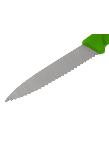 Couteau d'office Victorinox vert 80mm à lame dentée