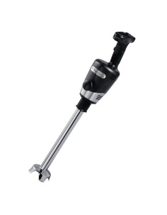 Mixeur plongeant Waring Big Stix WSB65CK 650W - Cuisine pro
