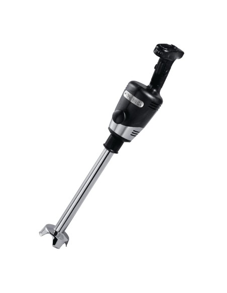 Mixeur plongeant Waring Big Stix WSB70CK 650W - Pro