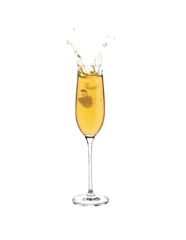 Flûtes à champagne Olympia Campana 260ml - lot de 6
