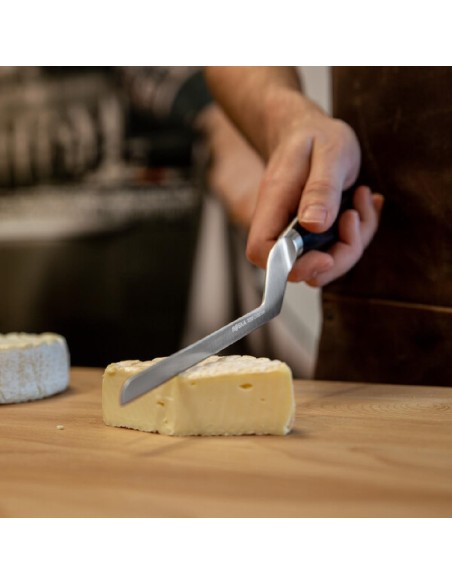 Couteau à fromage pâte molle Boska 140 mm - manche noir